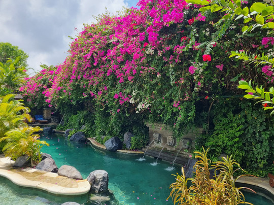 巴厘波比酒店主图