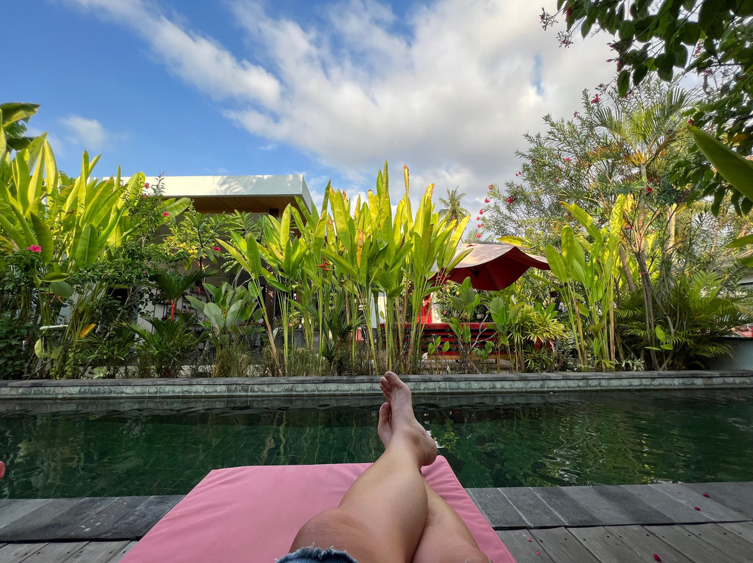 Le Chien Rouge主图