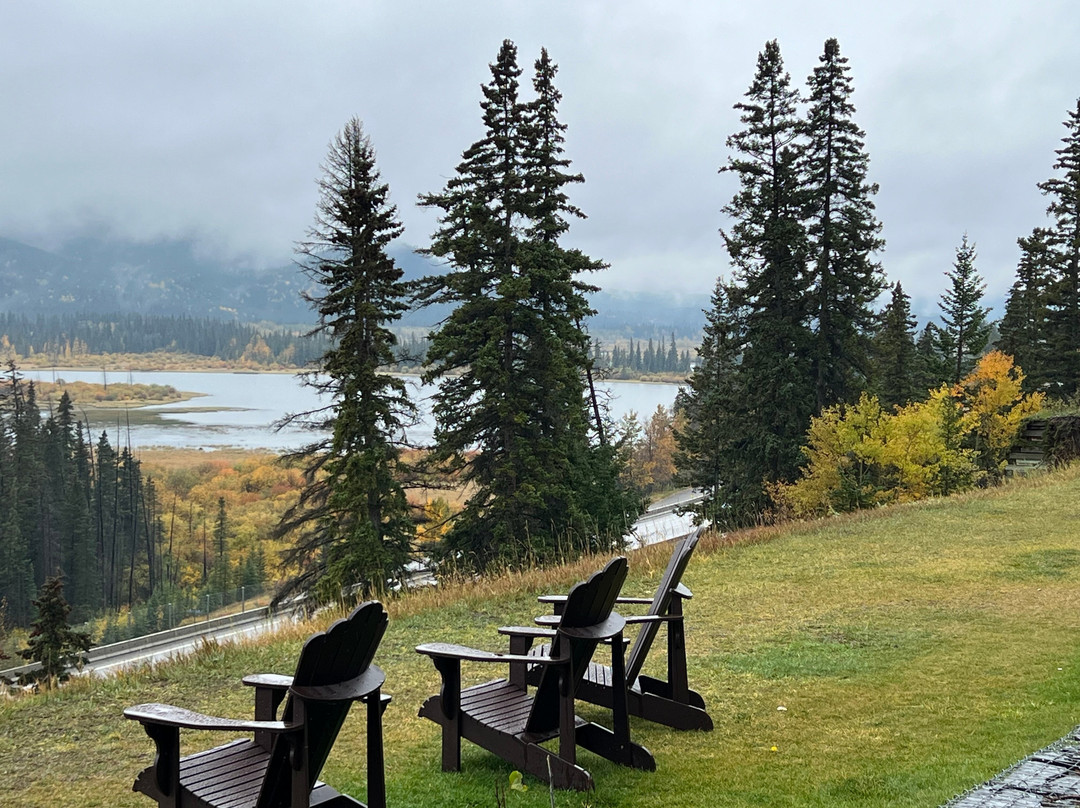 杜松子酒店主图