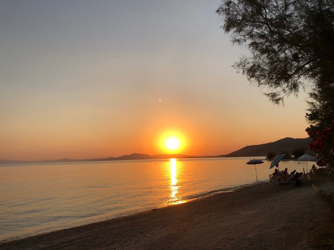 Palirria Hotel主图