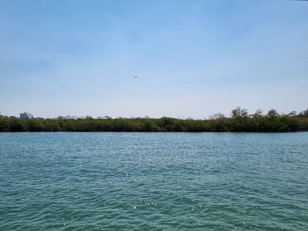 Catch a Crab-堤维德岬必去景点