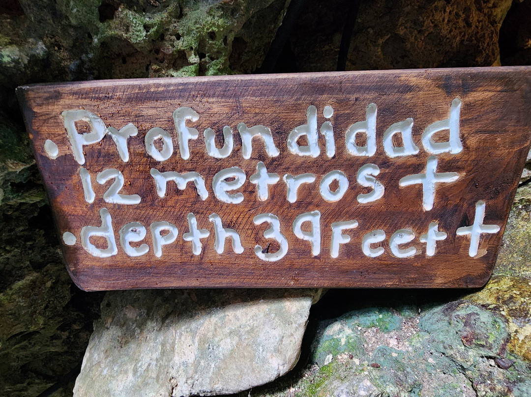 Cenote Elvira - Nature Sanctuary-从莫雷洛斯港必去景点