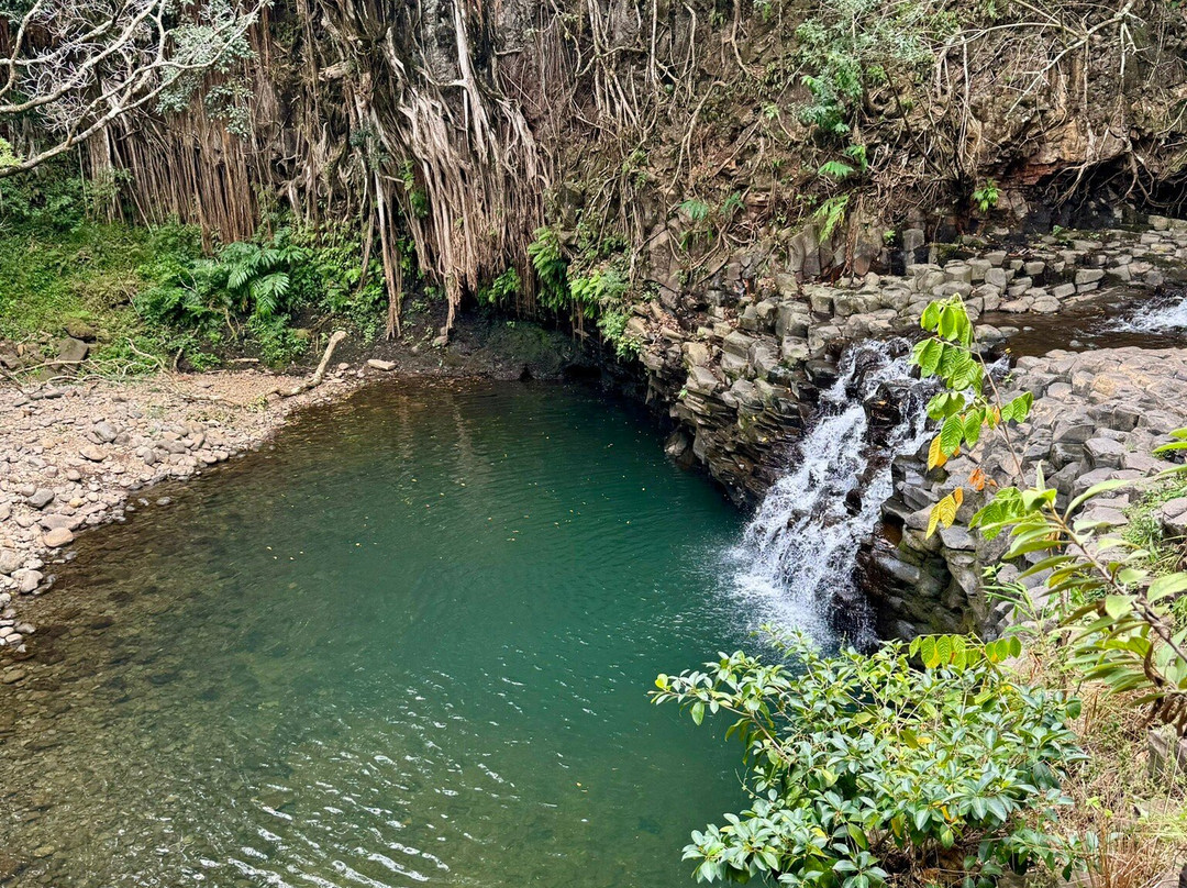 Hike Maui景点图片