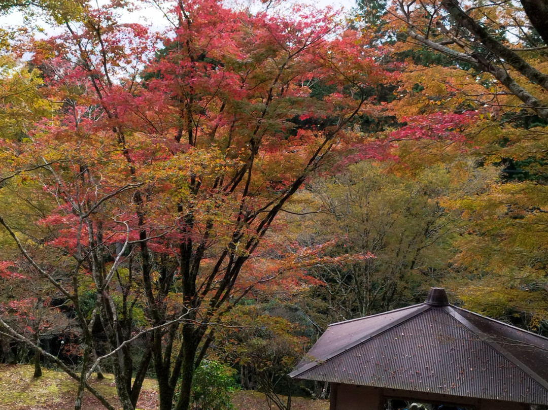 Myoken-no-Mori Cable Car-川西市必去景点