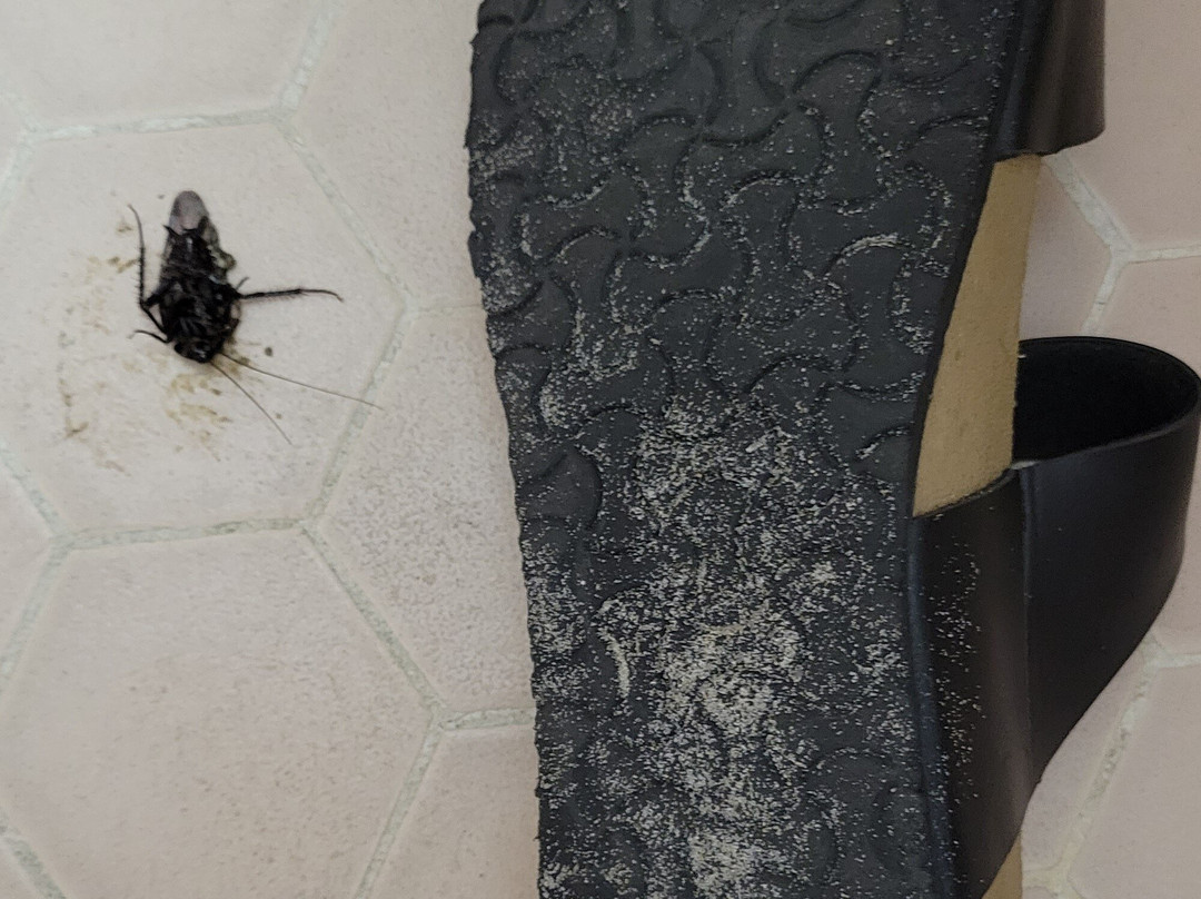 Sea Foam Motel主图