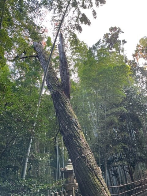 Otokoyama Observatory-八幡市必去景点
