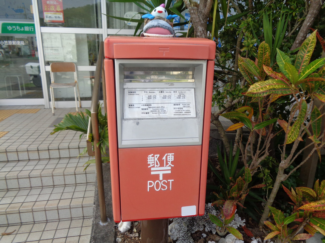 Ogasawara Post Office-小笠原村必去景点