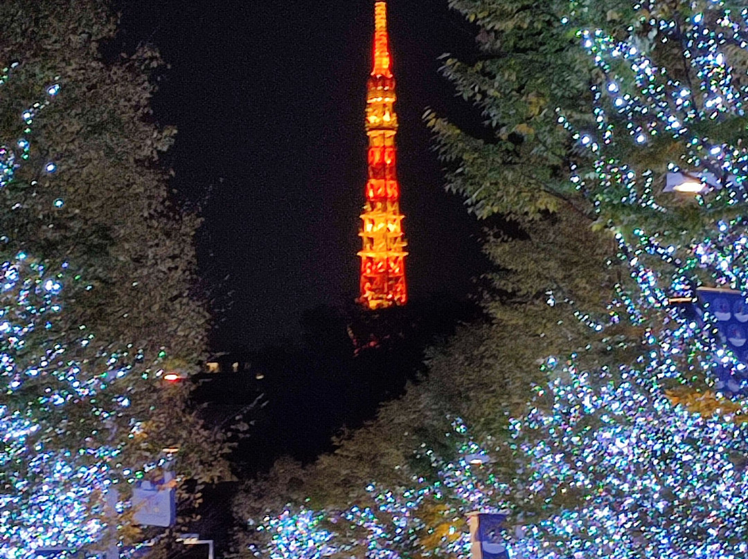 Roppongi Keyakizaka Dori-Roppongi必去景点