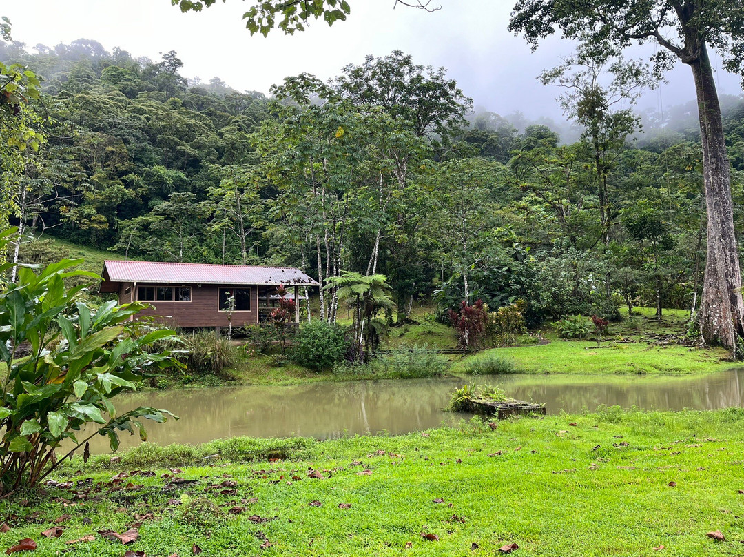 Mei Tai Cacao Lodge主图