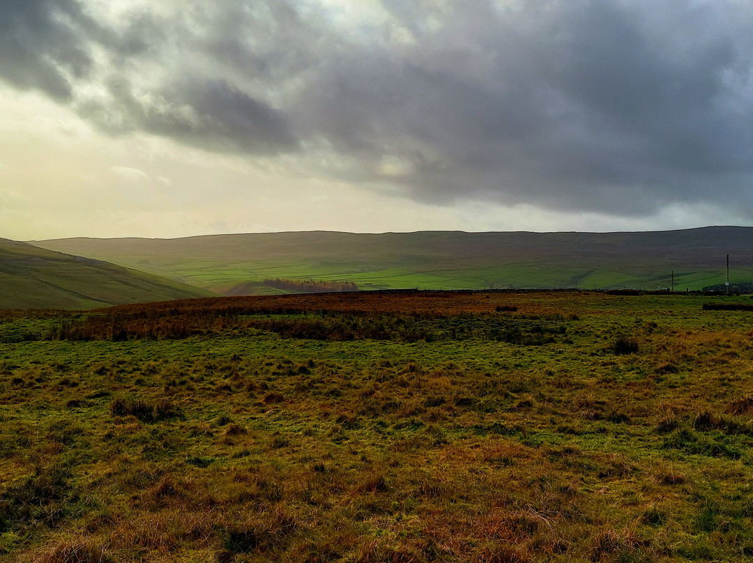 Kell House Bed and Breakfast主图