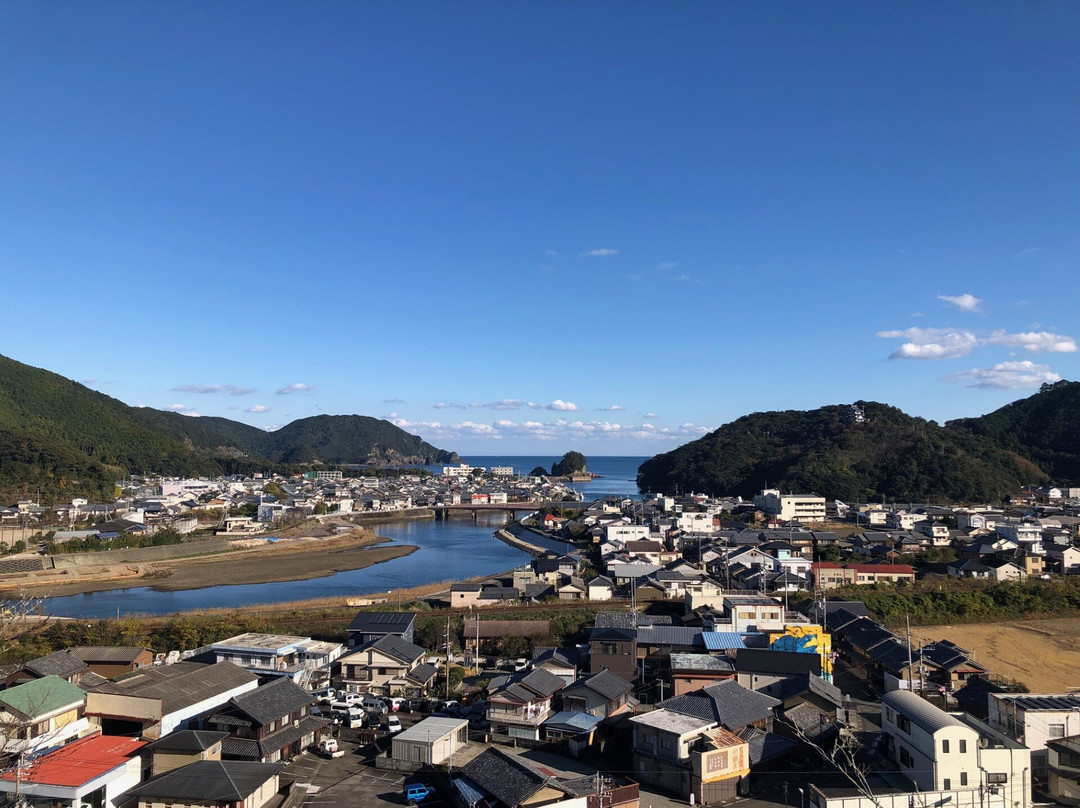 Hiwasa Castle景点图片