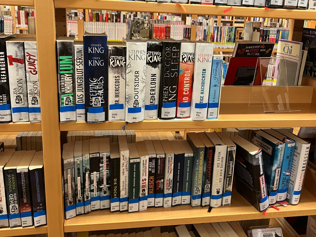 Stadtbibliothek Wolfsburg-沃尔夫斯堡必去景点