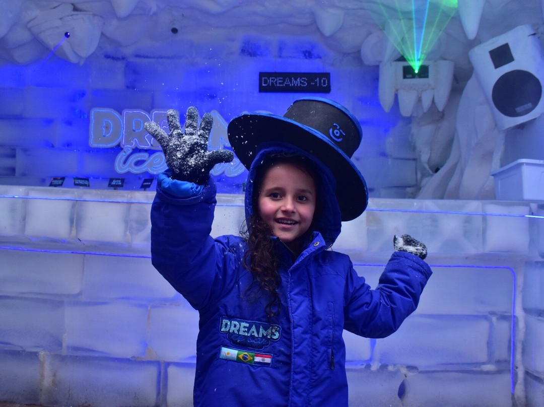 Dreams Ice Bar-伊瓜苏必去景点