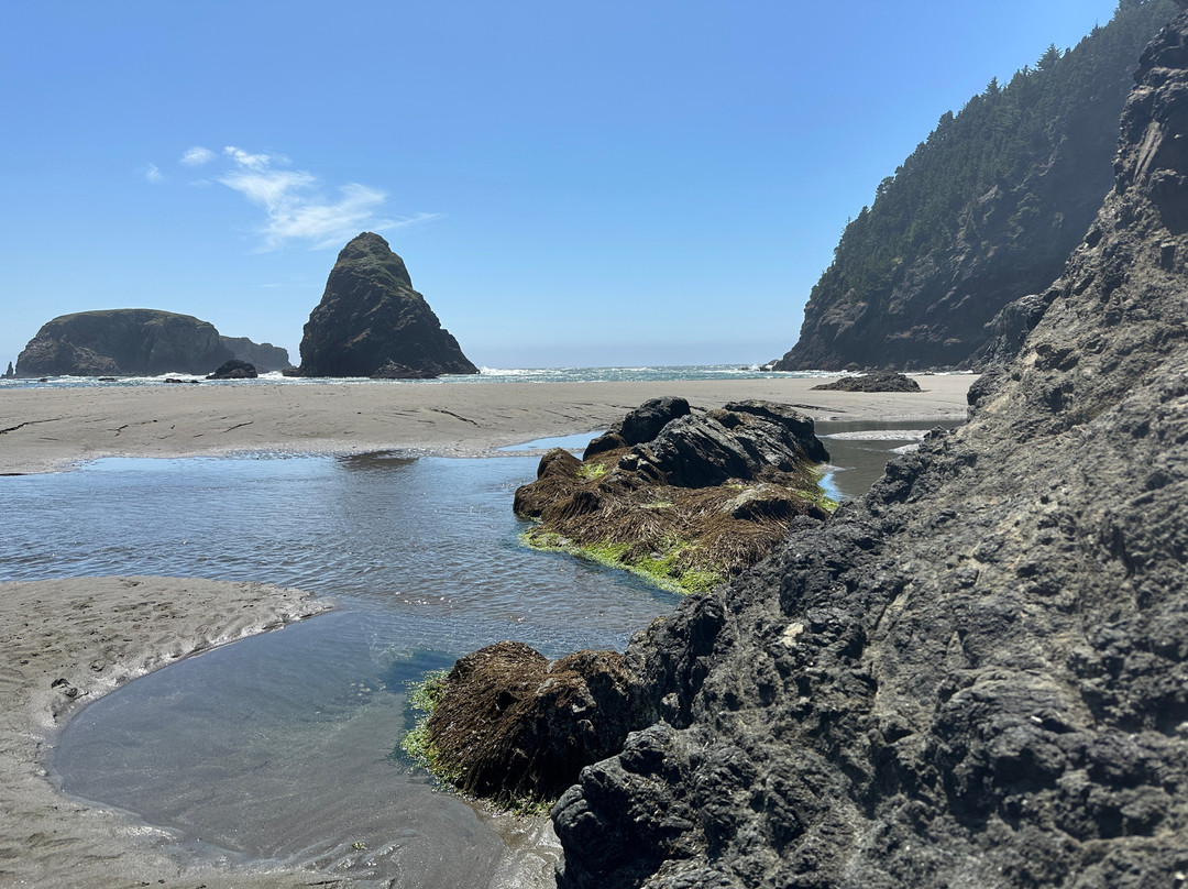 Whaleshead Viewpoint-布鲁金斯必去景点