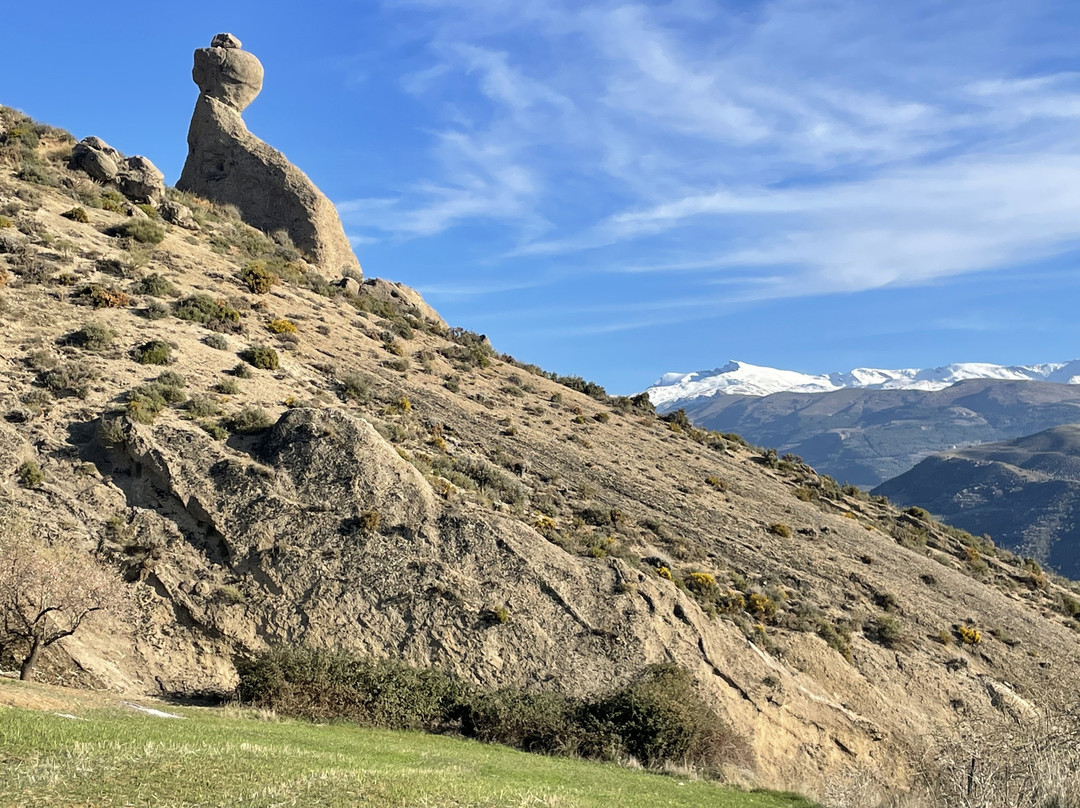 Camper Park Beas de Granada