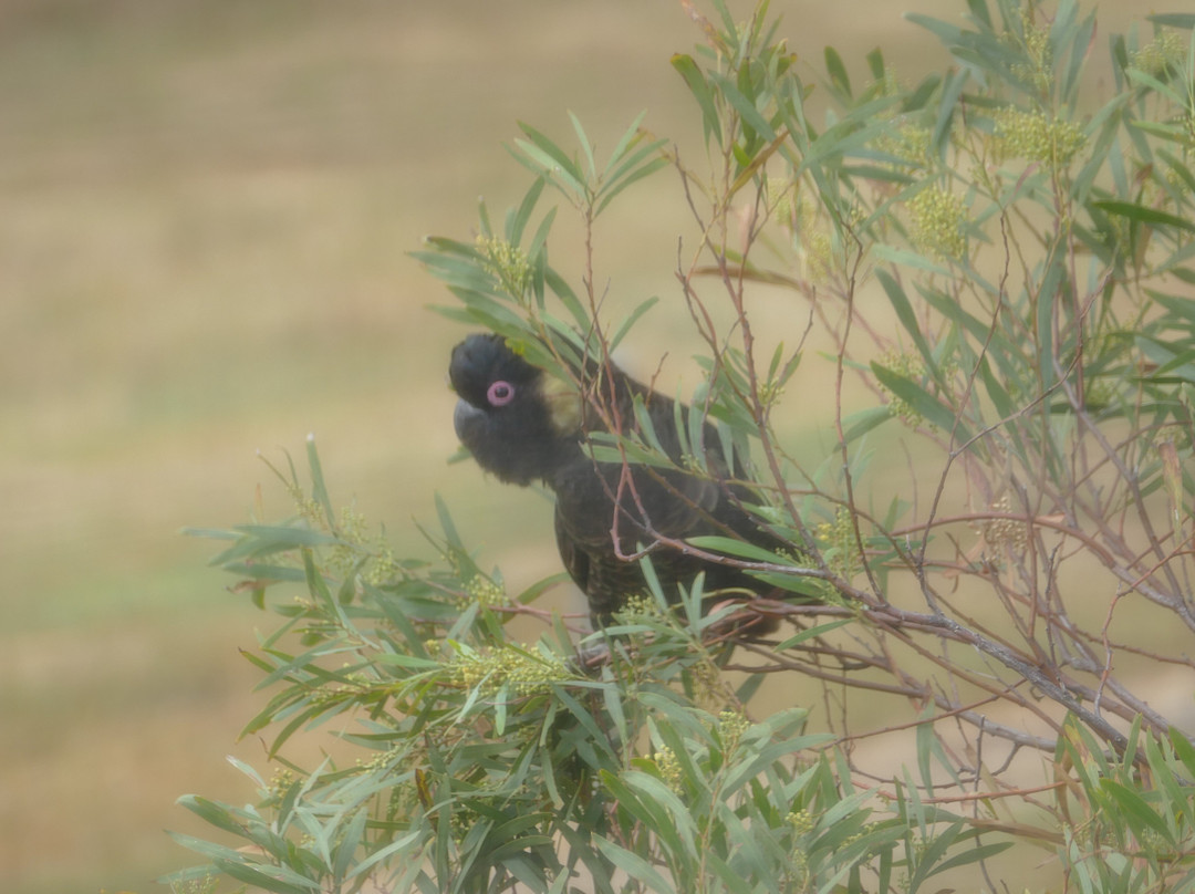 Seascape Retreat主图