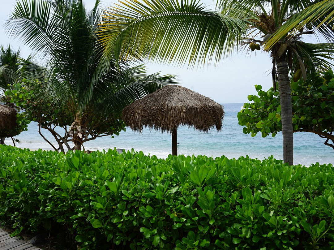 Cooper Island Beach Club Hotel主图