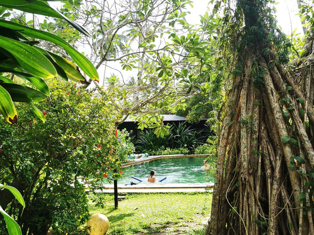 One World Foundation主图