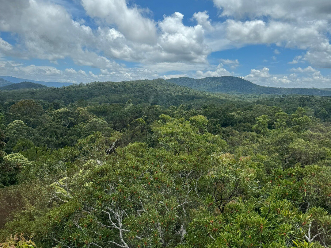 Cairns Custom Tours-凯恩斯必去景点