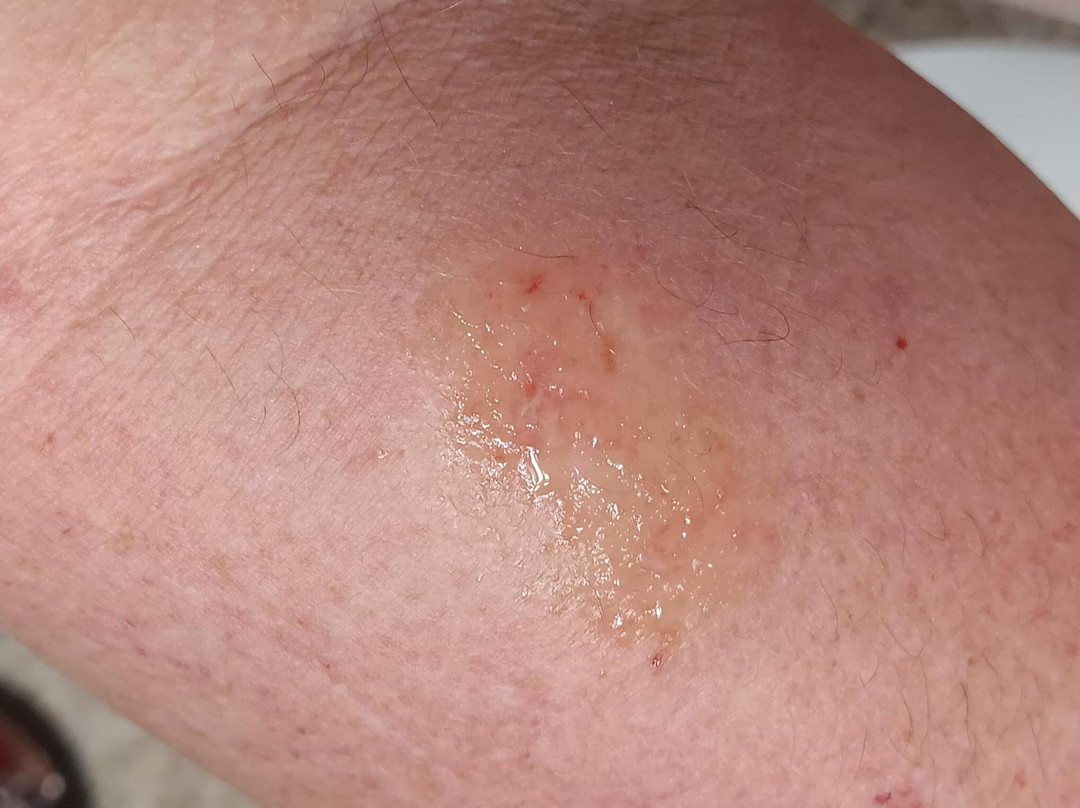 Quality Inn & Suites Lawrence - University Area主图