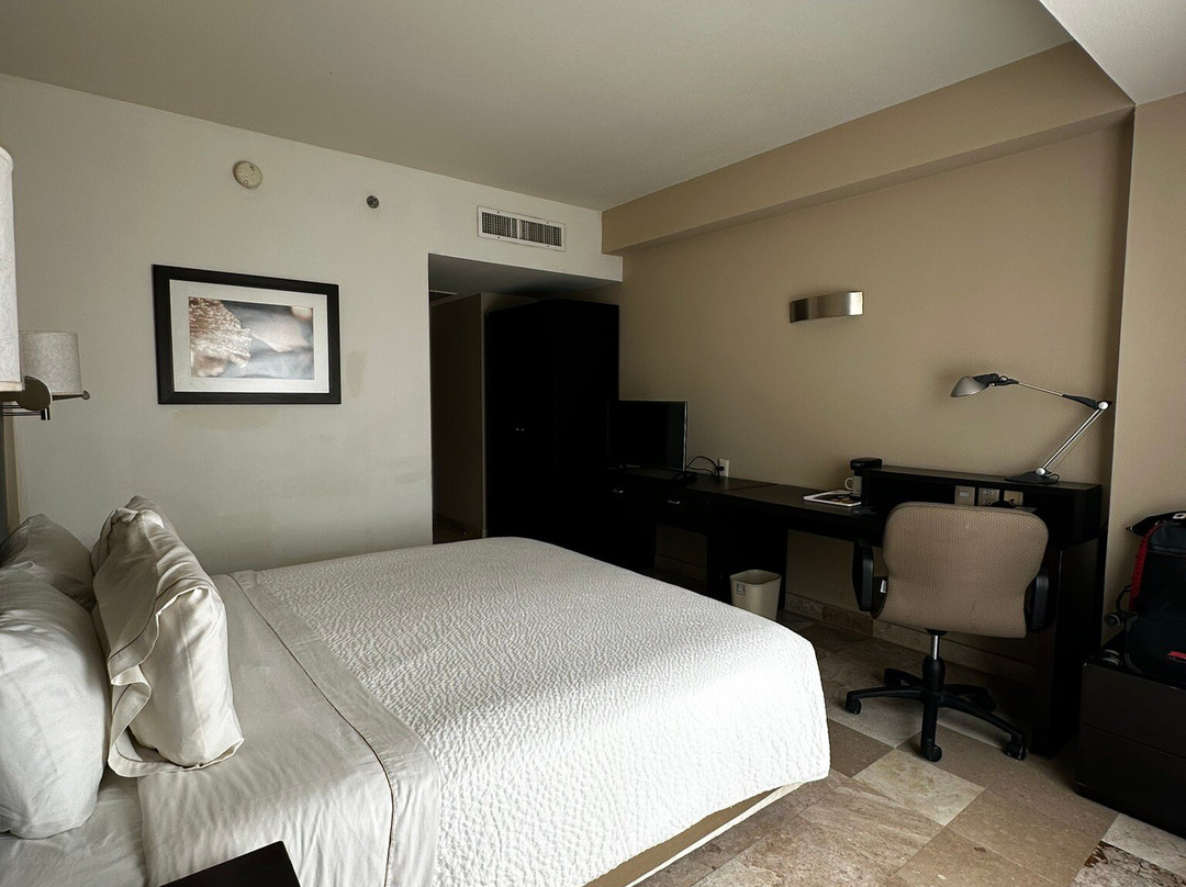 Fiesta Inn Coatzacoalcos主图