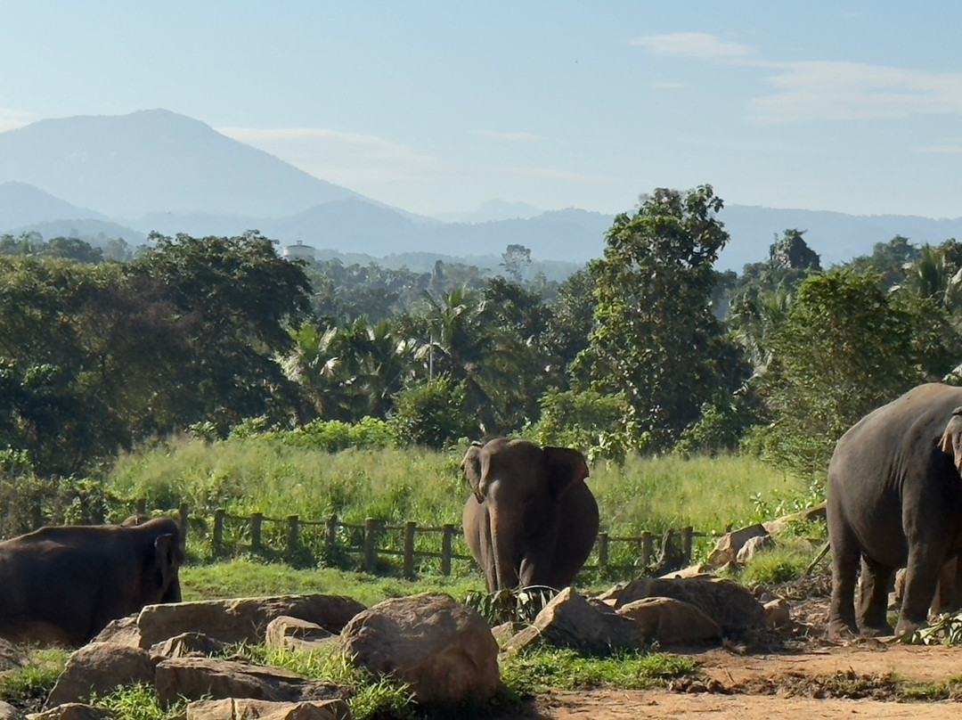 Ami Tours & Travels-坎达拉马必去景点