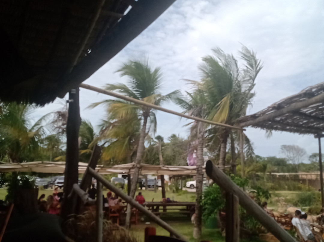Fazendinha Adventure Park-Cumbuco必去景点
