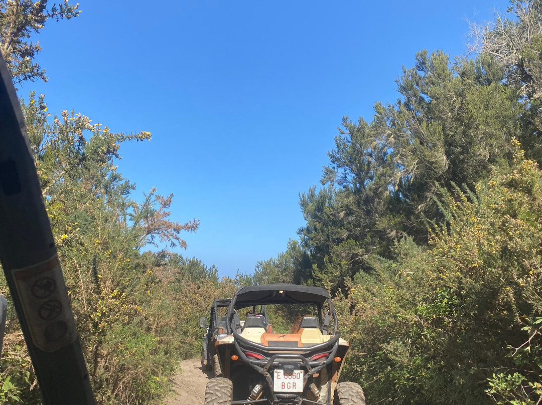 Buggy Safari-奥德杰海岸必去景点