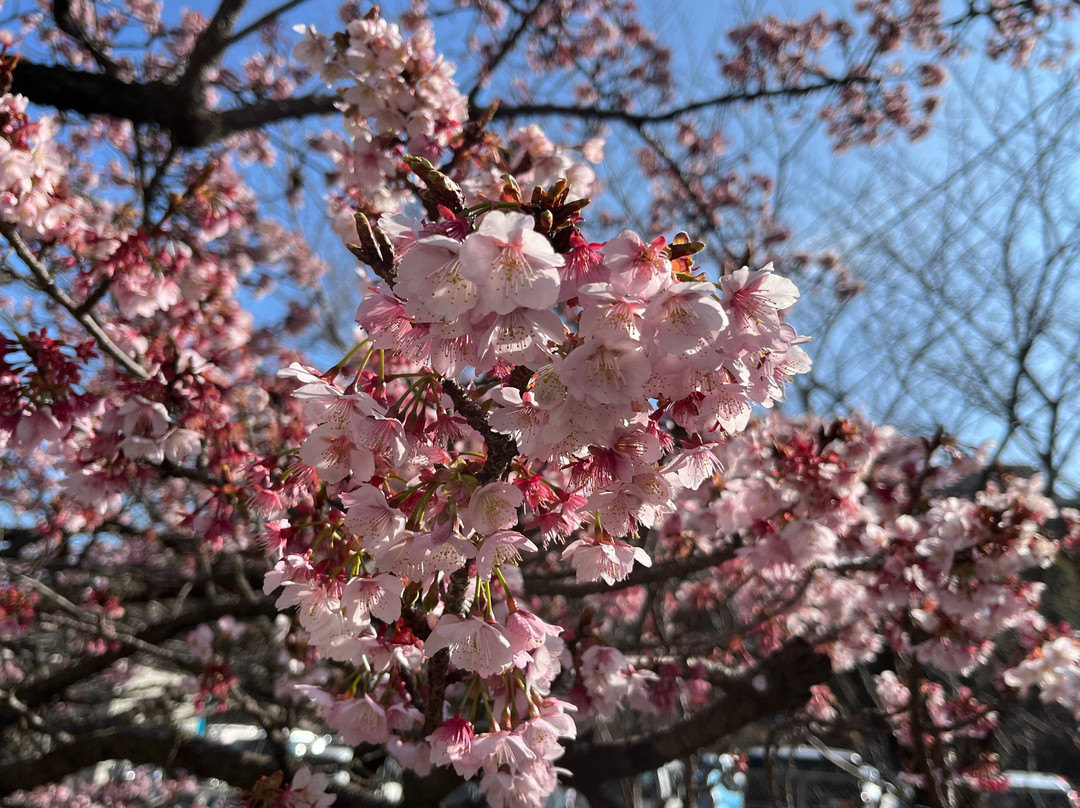 Itokawa Path-热海市必去景点