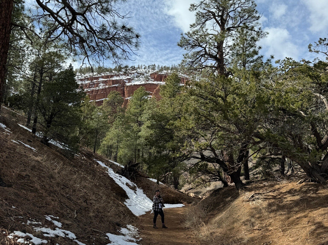 Red Mountain Trail-弗拉格斯塔夫必去景点
