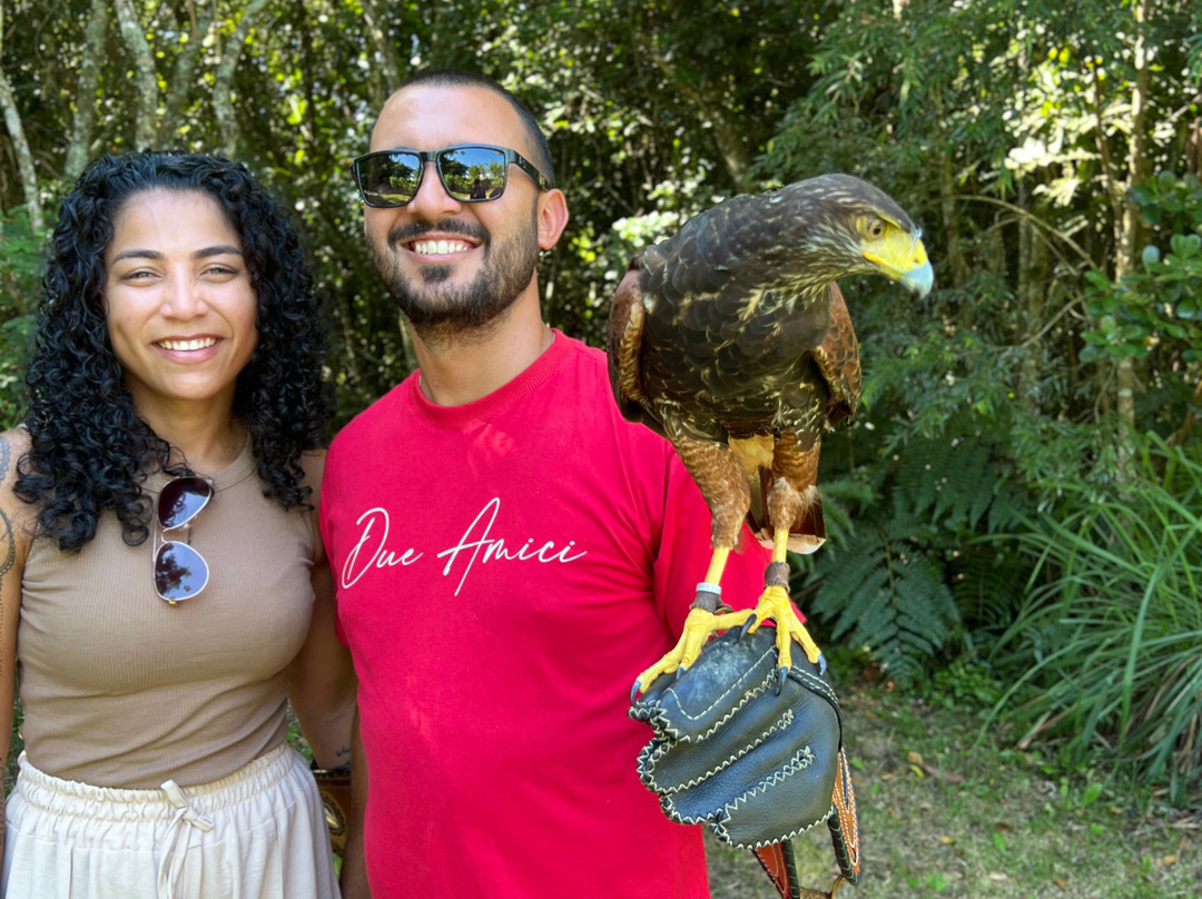 ArtFalcon Falcoaria-佩尼亚必去景点