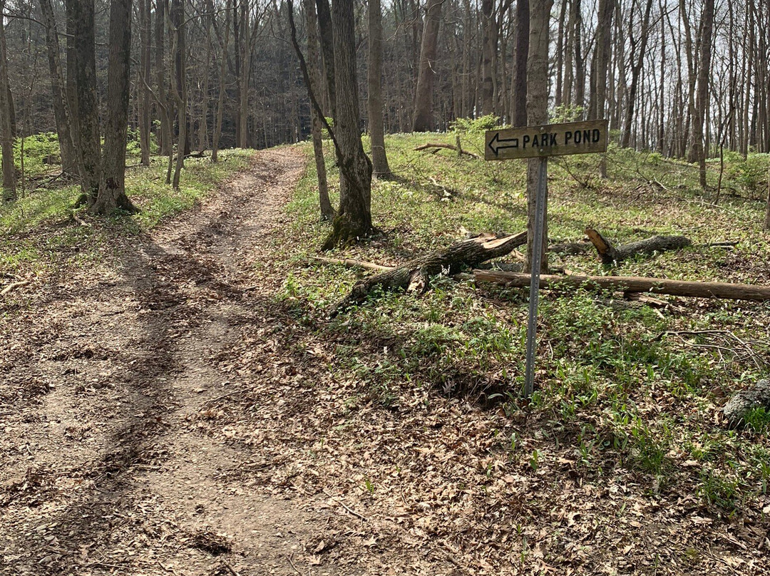 Douglas-Hart Nature Center-Mattoon必去景点