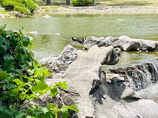 Jardin Botanico Nacional-哈瓦那必去景点