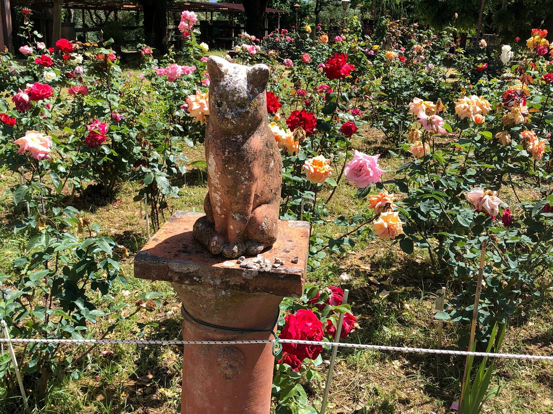 Roseto Botanico Carla Fineschi景点图片