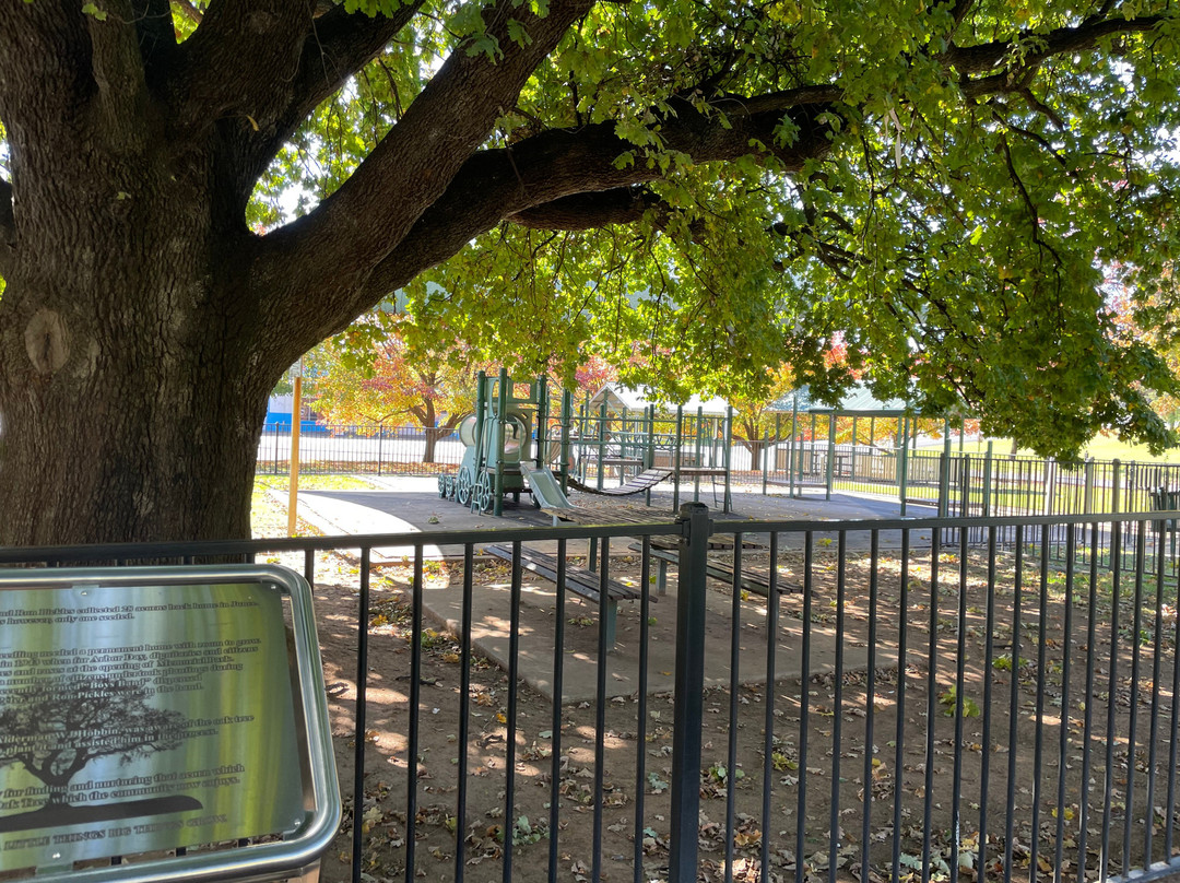 Memorial Park景点图片