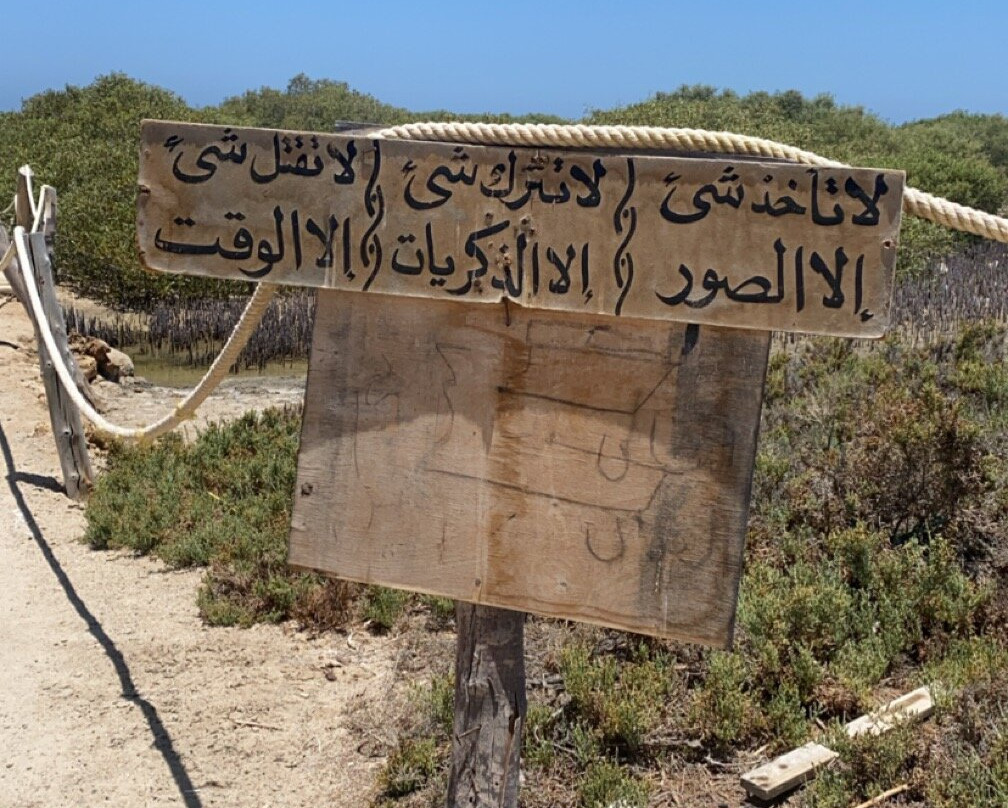 El Qulan Mangrove Forest-马萨阿拉姆必去景点