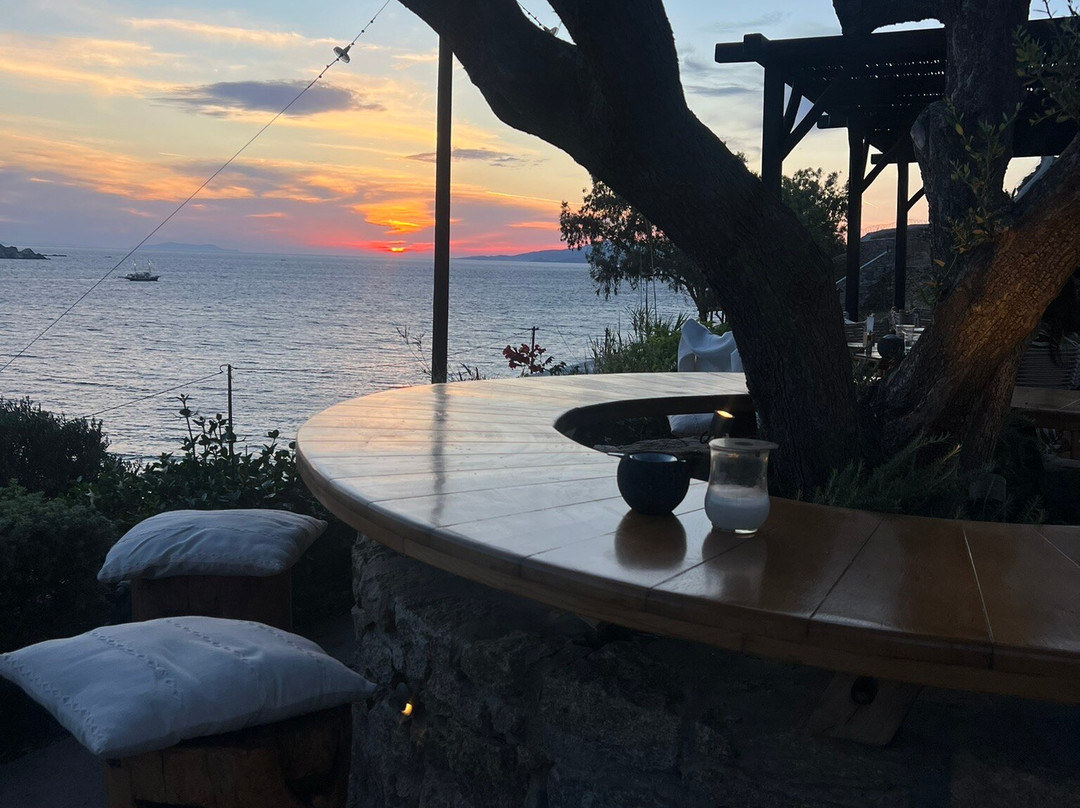 The Garden Of Mykonos-米克诺斯镇必去景点