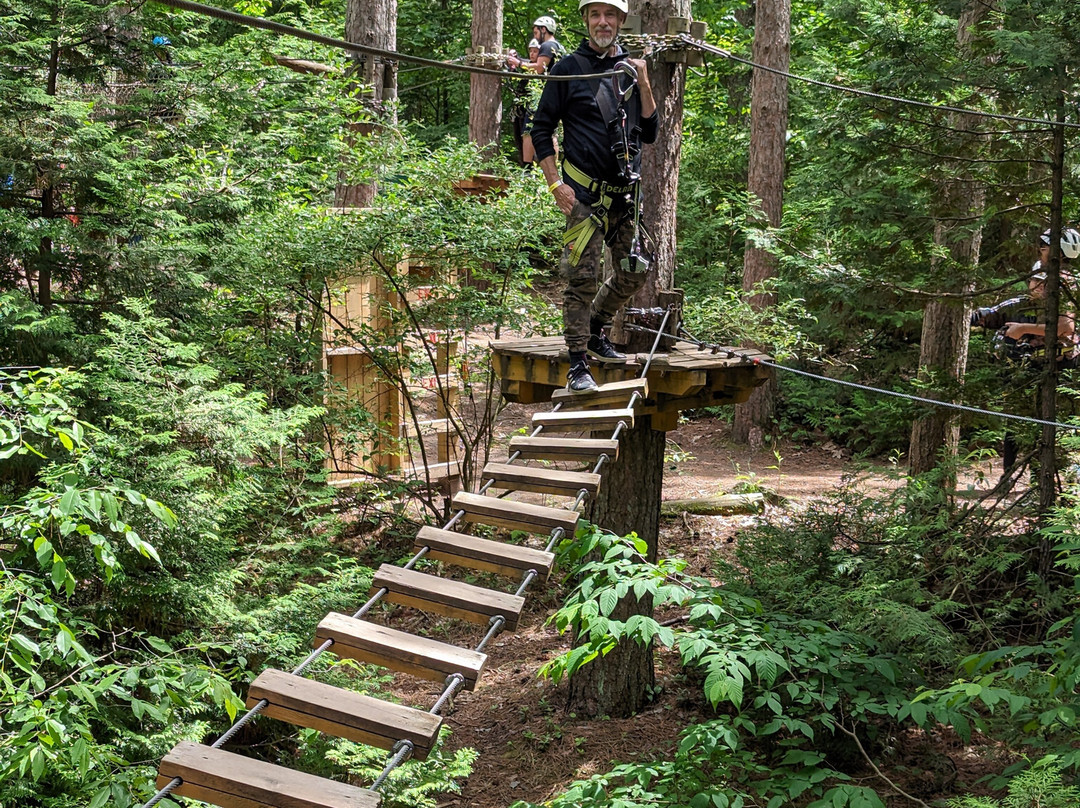 Treetop Trekking - Ganaraska-Campbellcroft必去景点