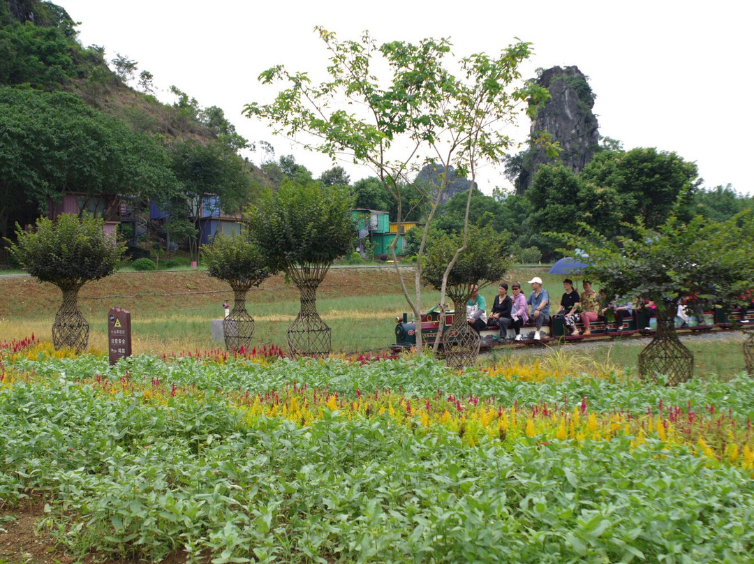 Fenglin Jiulong Town-英德市必去景点