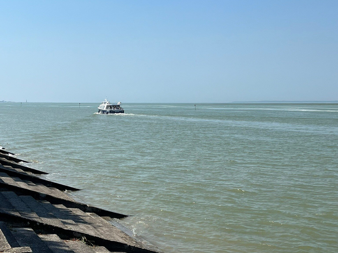 Experience Baie de Somme景点图片