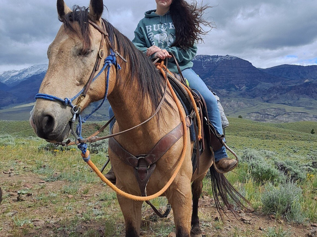 Rand Creek Ranch-Wapiti必去景点