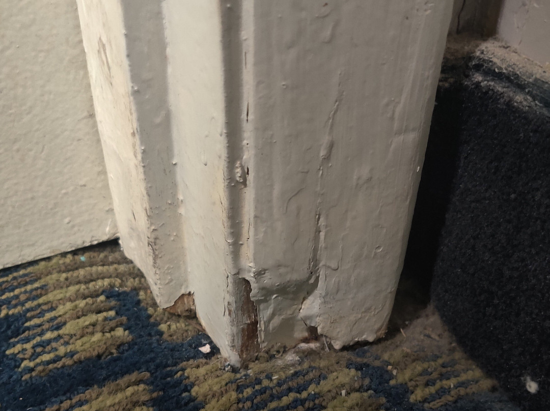 奥兰治县机场酒店主图