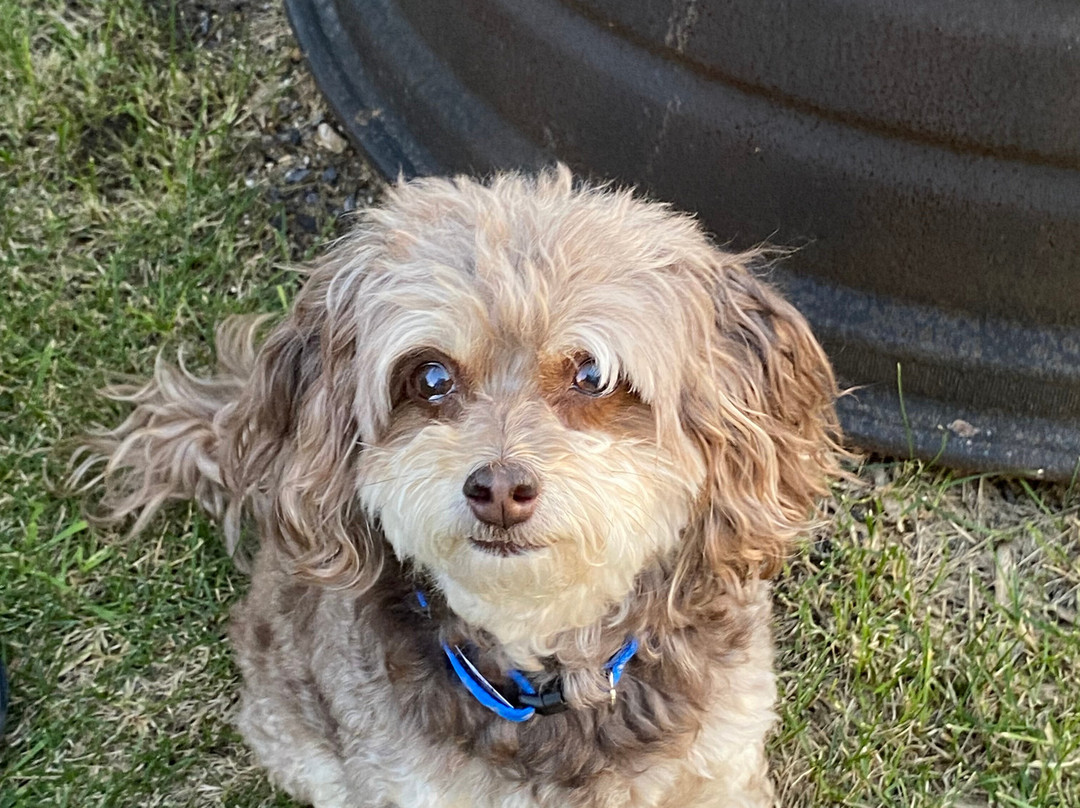 Lighthouse Lodge B&B on Lake Shafer主图