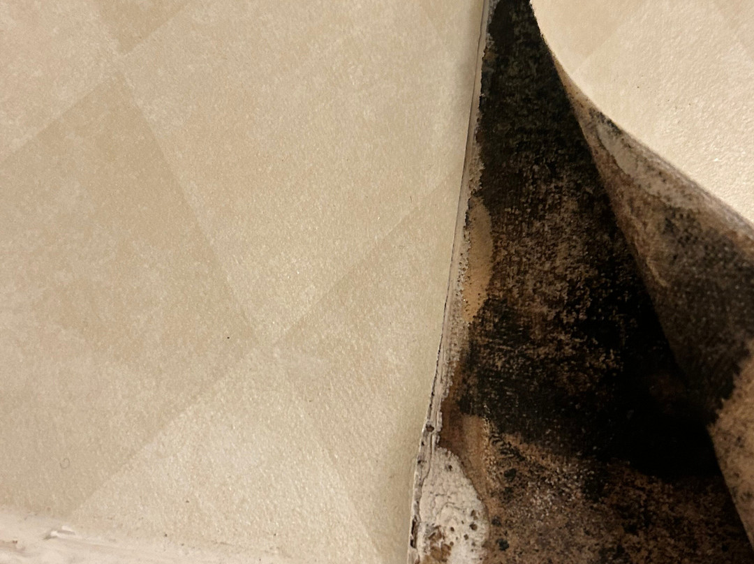 奥本山品质旅馆主图