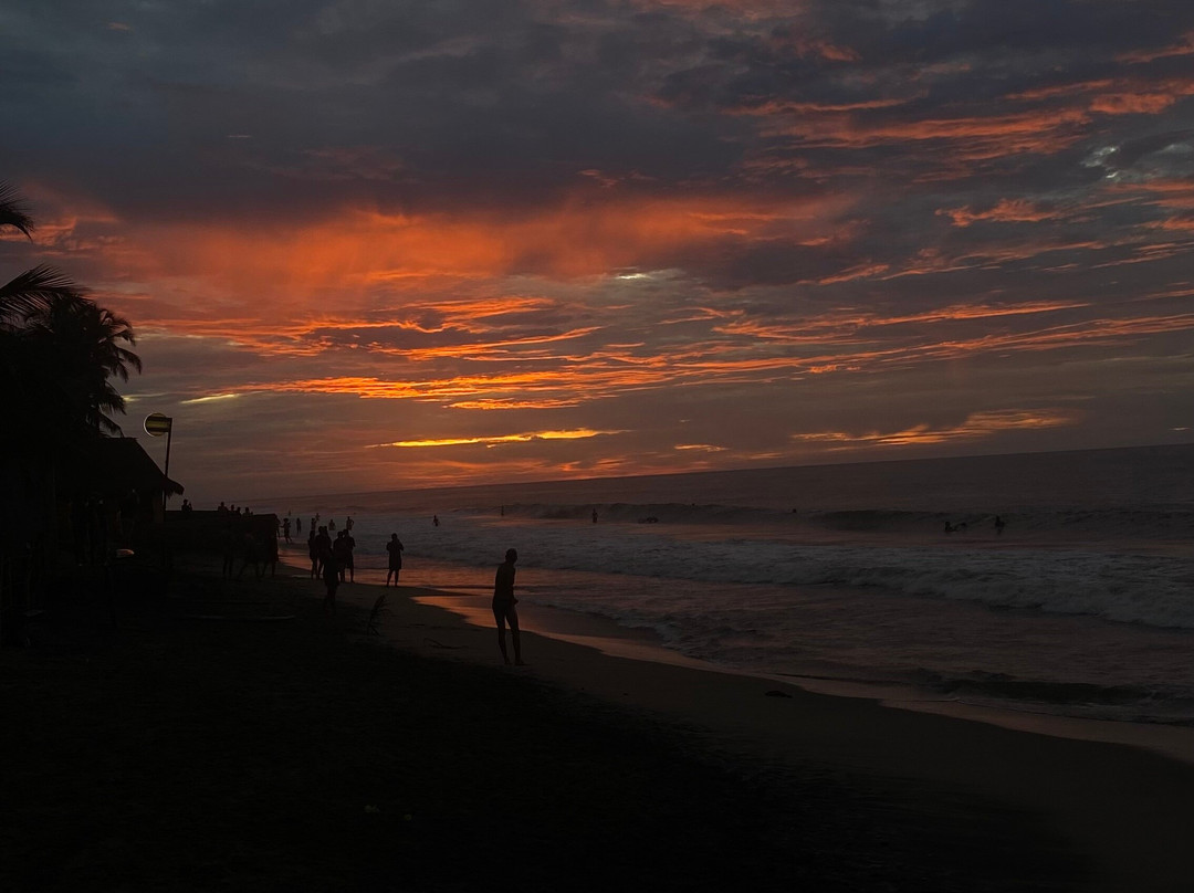 Beach Life Palomino-帕洛米诺必去景点