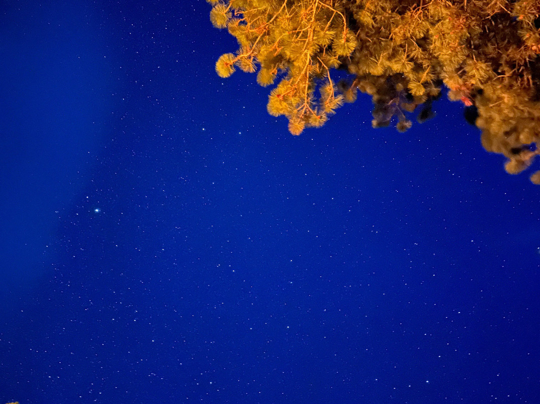 Sunshine Houseboats & Marina-Newgate必去景点