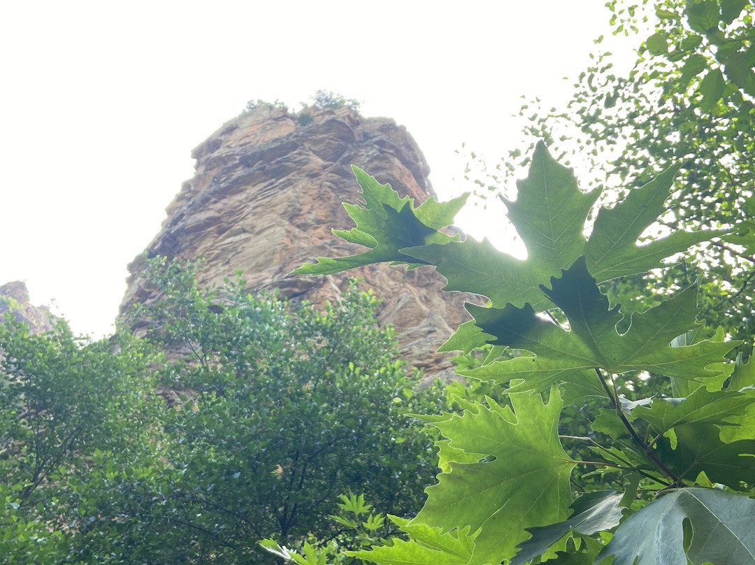 Sadagi Kanyonu Tabiat Parki-布尔萨必去景点