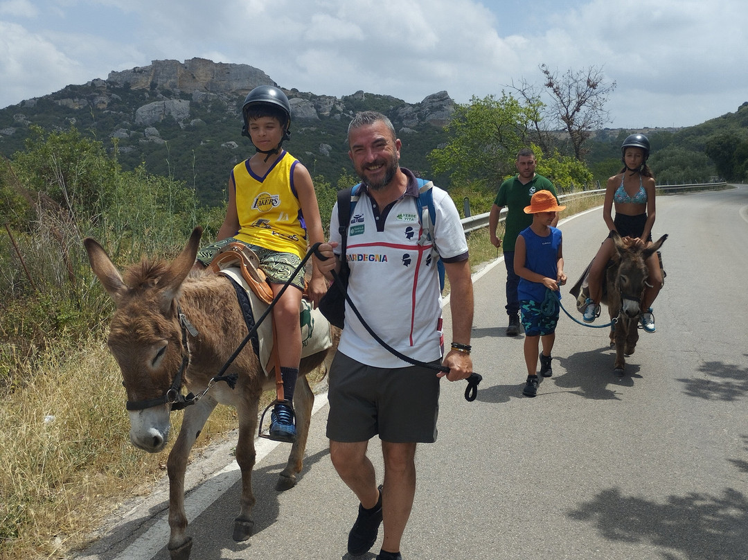 Su Portale de S'Aineddu - Il portale dell'Asinello