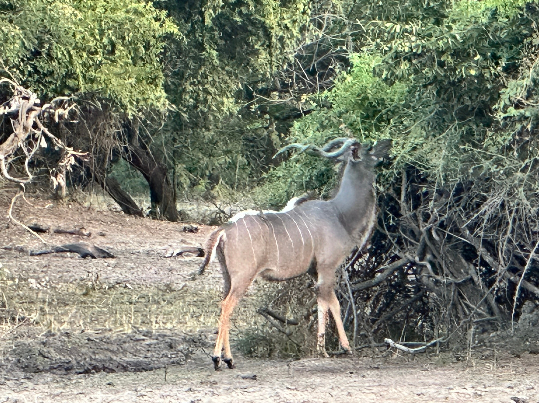 Orbis DMC-布兰岱必去景点