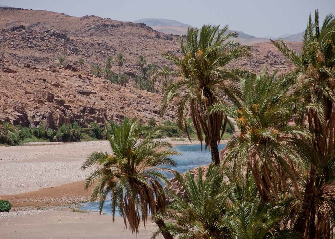 Kasbah El Mehdaoui主图